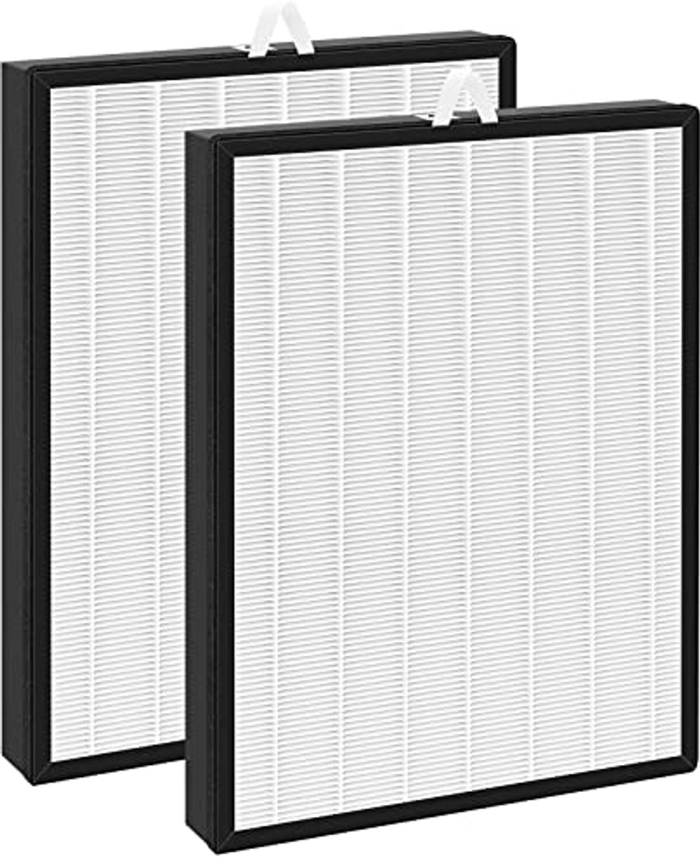 2 Pack Vervangingsfilter 3-in-1 H13 Grade True HEPA voor Luchtreinigers (6154031138103)