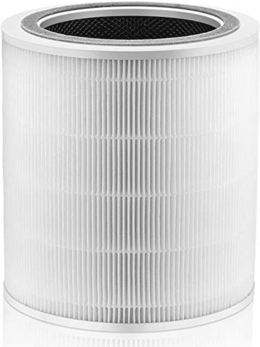 H13 True HEPA Vervangingsfilter voor Luchtreinigers (9101008824214)