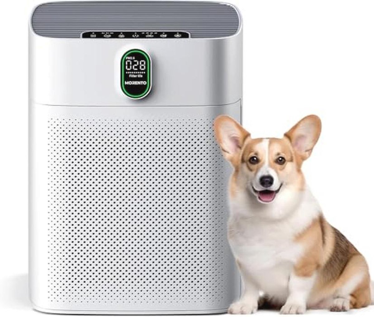 Luchtreiniger voor slaapkamer en grote ruimtes tot 1076 m² met PM 2,5 sensor en slaapmodus (9101001151386)