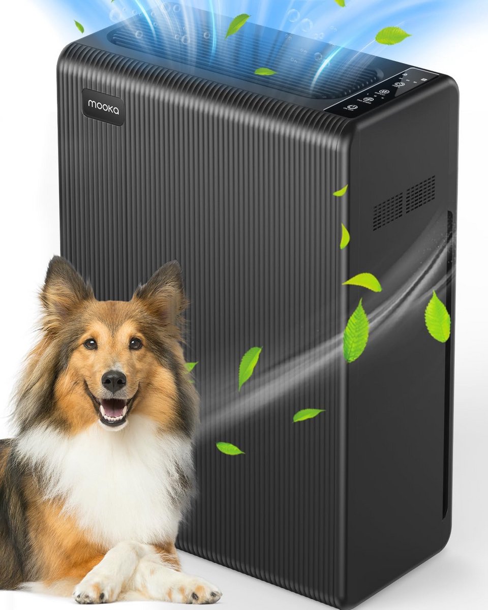 Luchtreiniger voor thuis, grote ruimte, tot 1740 vierkante meter, HEPA H13 luchtfilter voor huisdieren, haarschubben, pollenstof, ozonvrij, luchtreiniger (9101017810444)