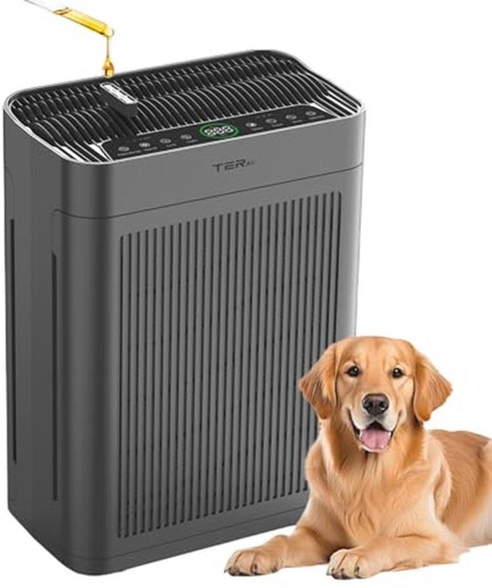 Luchtreiniger voor thuis tot 2500 m² met PM 2.5 luchtsensoren en H13 HEPA-filters (9101006067859)