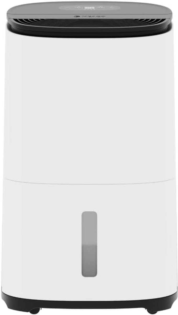 Dubbele Luchtontvochtiger en HEPA Luchtreiniger - Energiezuinig en Stil Thuis (9101065207463)